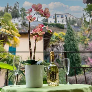 Il Terrazzino Sul Borgo 1 Apartment